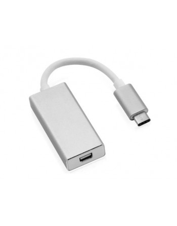 USB C to Mini Display Port